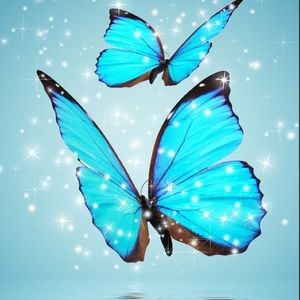 Meet your Posher, Fernanda